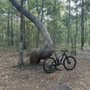 Photo of Trek Bicycle Jacksonville Lakeshore