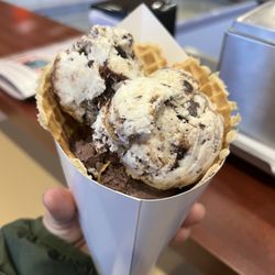 Newport Creamery - Small size in a waffle cone