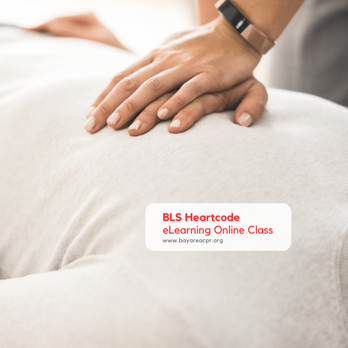 Safety Training Seminars - CPR Certification in Elk Grove - CPR Classes Near Me - Elk Grove, California