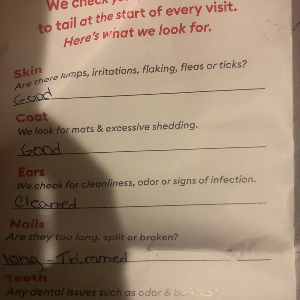 PetSmart - She states his coat was "good" - Pet Stores Near Me - Henderson, Nevada PetSmart - She states his coat was "good" - Pet Stores Near Me - Henderson, Nevada