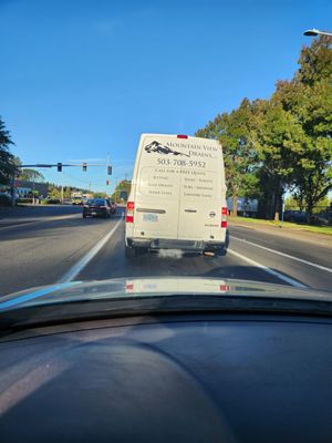 Mountain View Drain Logo