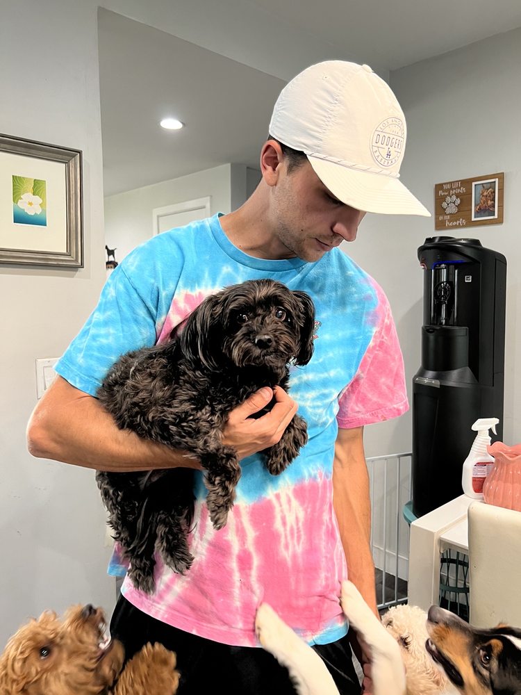 Dog Sitting by Ally - pet boarding facility in Canoga Park, CA