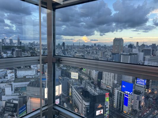 Shibuya Excel Hotel Tokyu by null