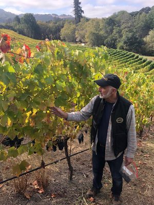 Covenant Wines by null