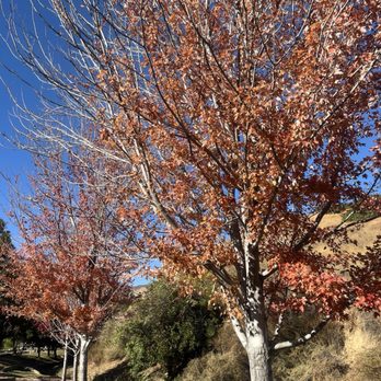 O'Melveny Park - Parks Near Me - Granada Hills, California