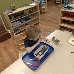 Meadows Montessori - Magnetic and not magnetic objects