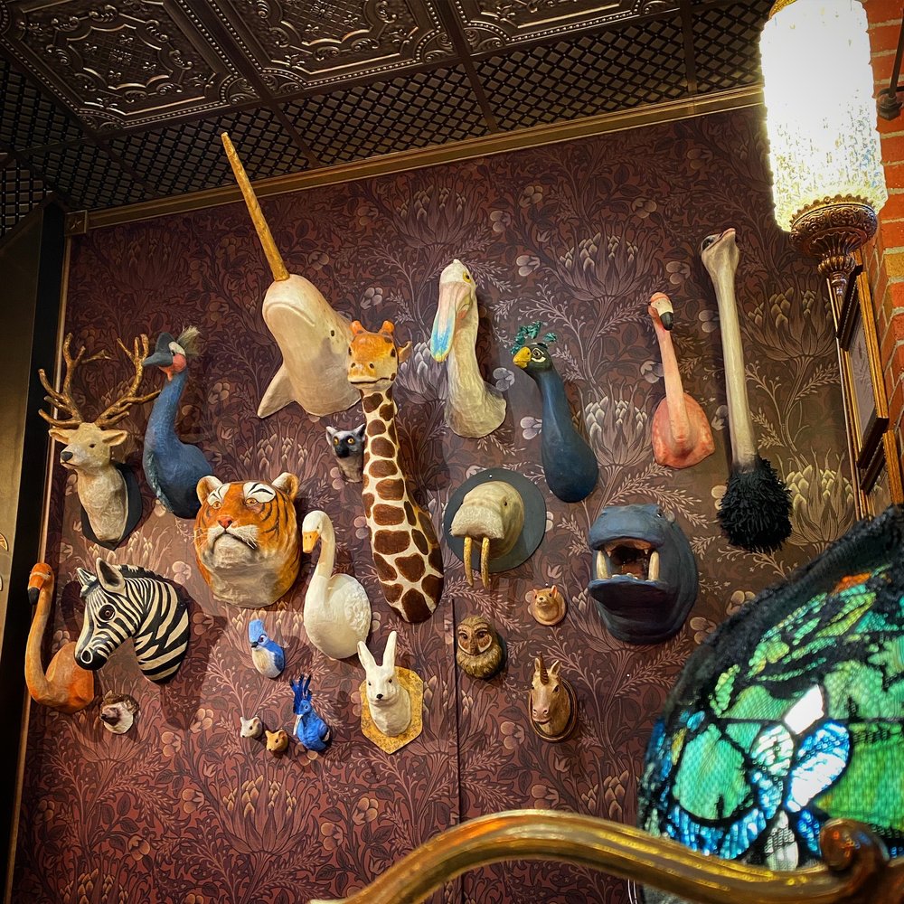 Some of the super fun, highly unusual items for sale in this wonderful store. Some of the super fun, highly unusual items for sale in this wonderful store.