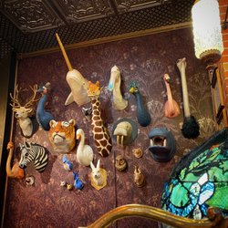 Emporium 32 - Some of the super fun, highly unusual items for sale in this wonderful store.