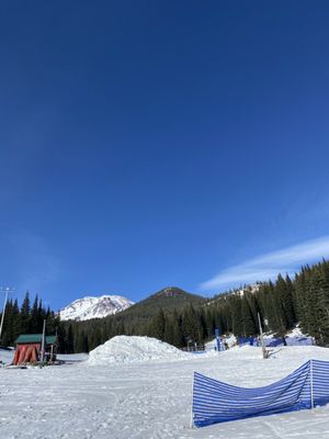 Mt. Shasta Ski Park by null