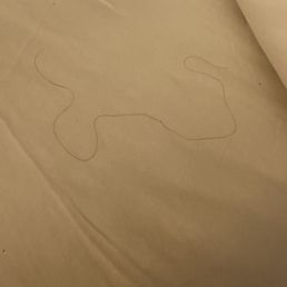 Hair in bed... sheets obviously weren't changed Hair in bed... sheets obviously weren't changed