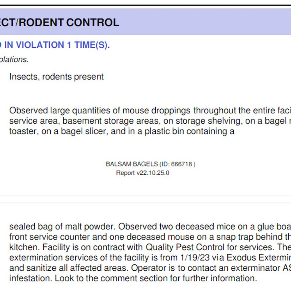Balsam Bagels - Excerpt from inspection report. - Bagels Near Me - Rochester, New York
