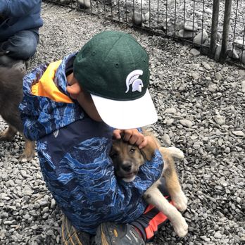 Turning Heads Kennel - Tours Near Me - Seward, Alaska Turning Heads Kennel - Tours Near Me - Seward, Alaska