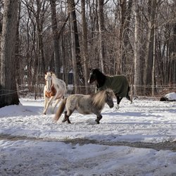 Stable Places