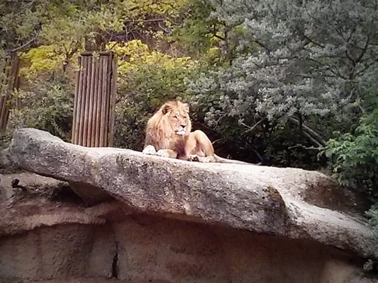 Zoo Basel by null