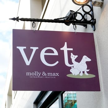Molly and Max Veterinary Practice - The entrance sign for Molly and Max - Veterinarians Near Me - London, XGL Molly and Max Veterinary Practice - The entrance sign for Molly and Max - Veterinarians Near Me - London, XGL