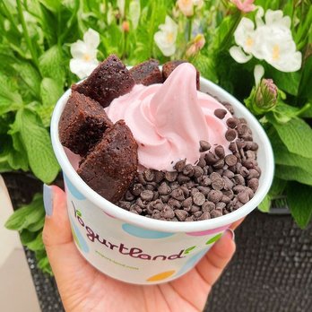 Yogurtland - Custom Frozen Yogurt Creation - Strawberry with Chocolate Chips and Brownie Bites - Ice Cream & Frozen Yogurt Near Me - Monterey Park, California Yogurtland - Custom Frozen Yogurt Creation - Strawberry with Chocolate Chips and Brownie Bites - Ice Cream & Frozen Yogurt Near Me - Monterey Park, California