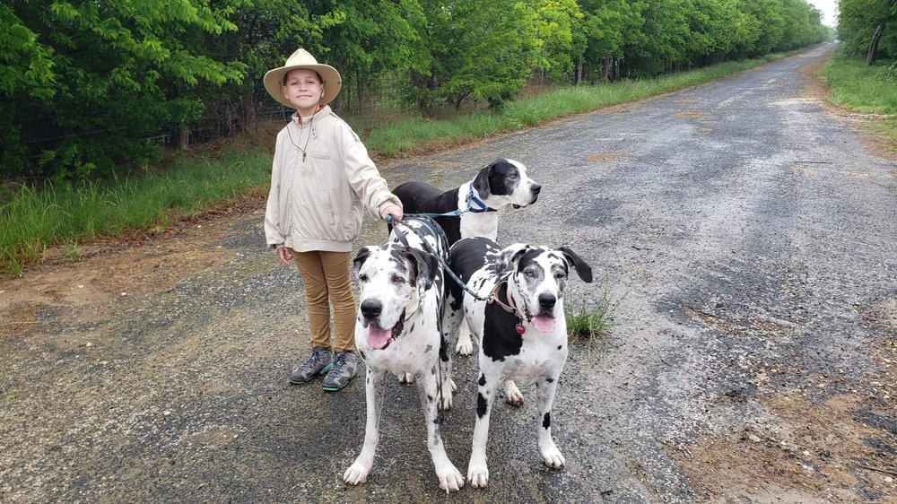 COMMUNITY PET HEALTH CENTER 10 Photos & 36 Reviews 17414 O'connor