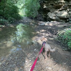 Hollow Oak Land Trust