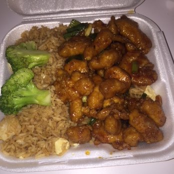 Mr Roboto Tokyo Grill - General Tso's Chicken with Fried Rice. - Asian Fusion Near Me - Tallahassee, Florida