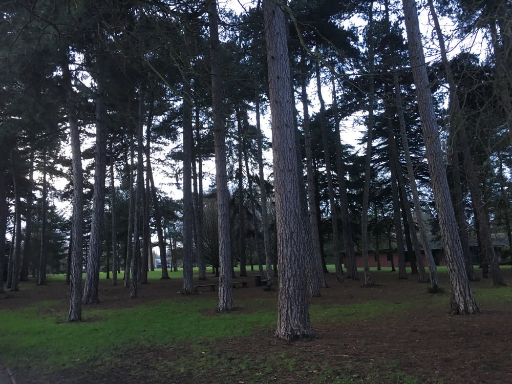 PINNER MEMORIAL PARK Chapel Lane, London, United Kingdom Parks Phone Number Yelp