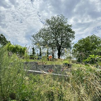 Sunset Community Garden - Community Gardens Near Me - Ridgewood, New York