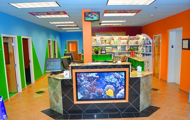 Nova Pets Health Center - pet boarding facility in Chantilly, VA