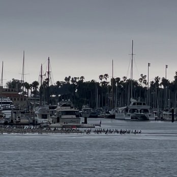 Moby Dick Restaurant - View of fishing boats and resting pelicans - American Near Me - Santa Barbara, California