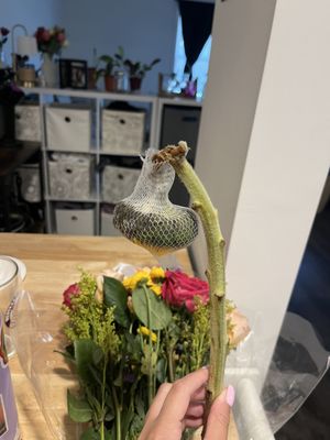 ProFlowers by null