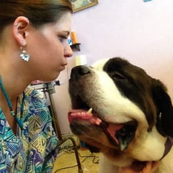Bayview Pet Salon - Mr. Fort Knox. Our 200lb St. Bernard