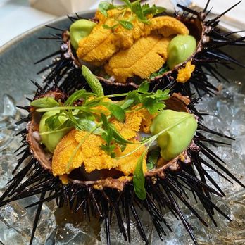 Holbox - Latin American Near Me - Los Angeles, California