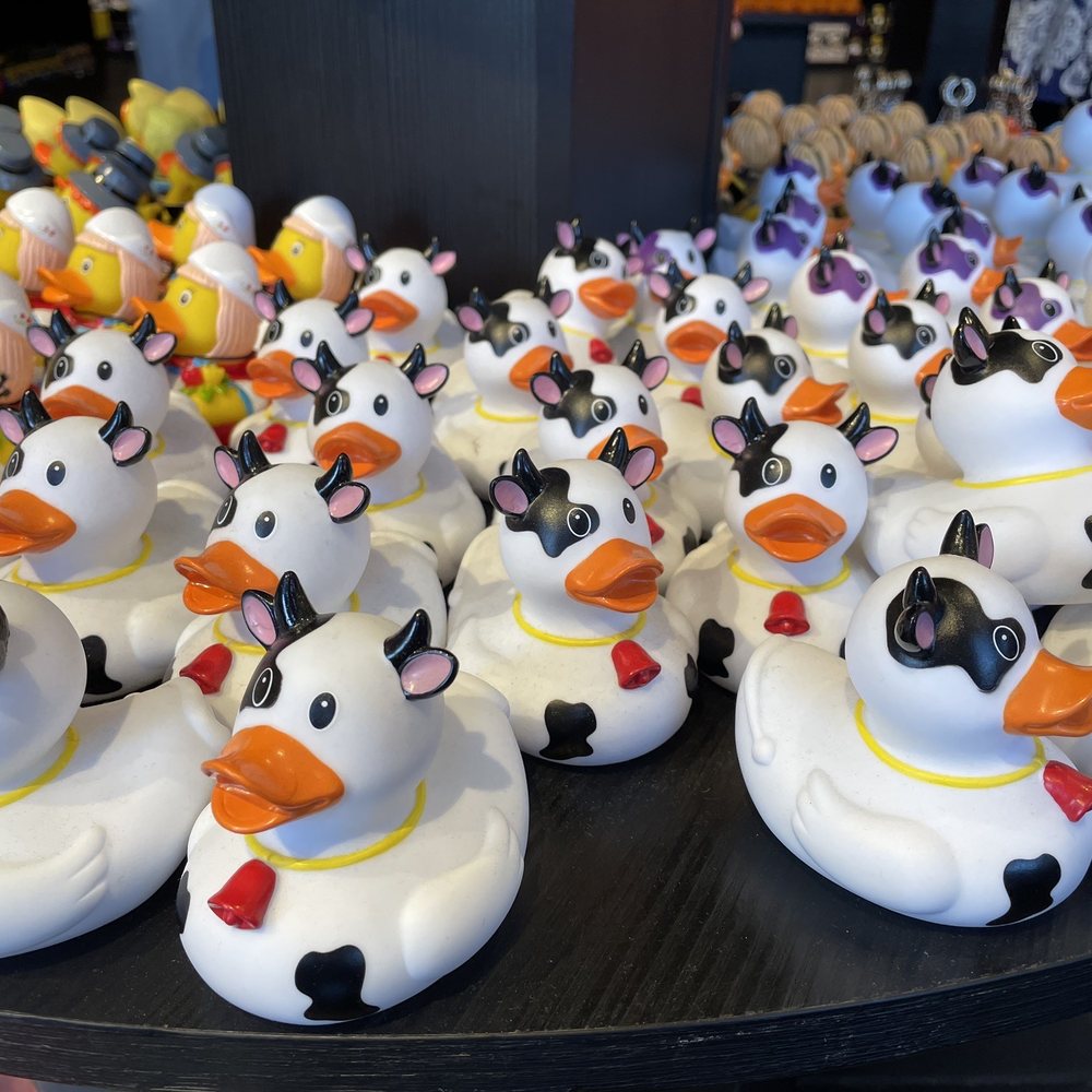 Amsterdam Duck Store - 15€ per duck. - Hobby Shops Near Me - Amsterdam, New Hampshire Amsterdam Duck Store - 15€ per duck. - Hobby Shops Near Me - Amsterdam, New Hampshire