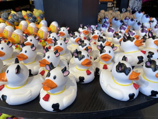 Amsterdam Duck Store by null