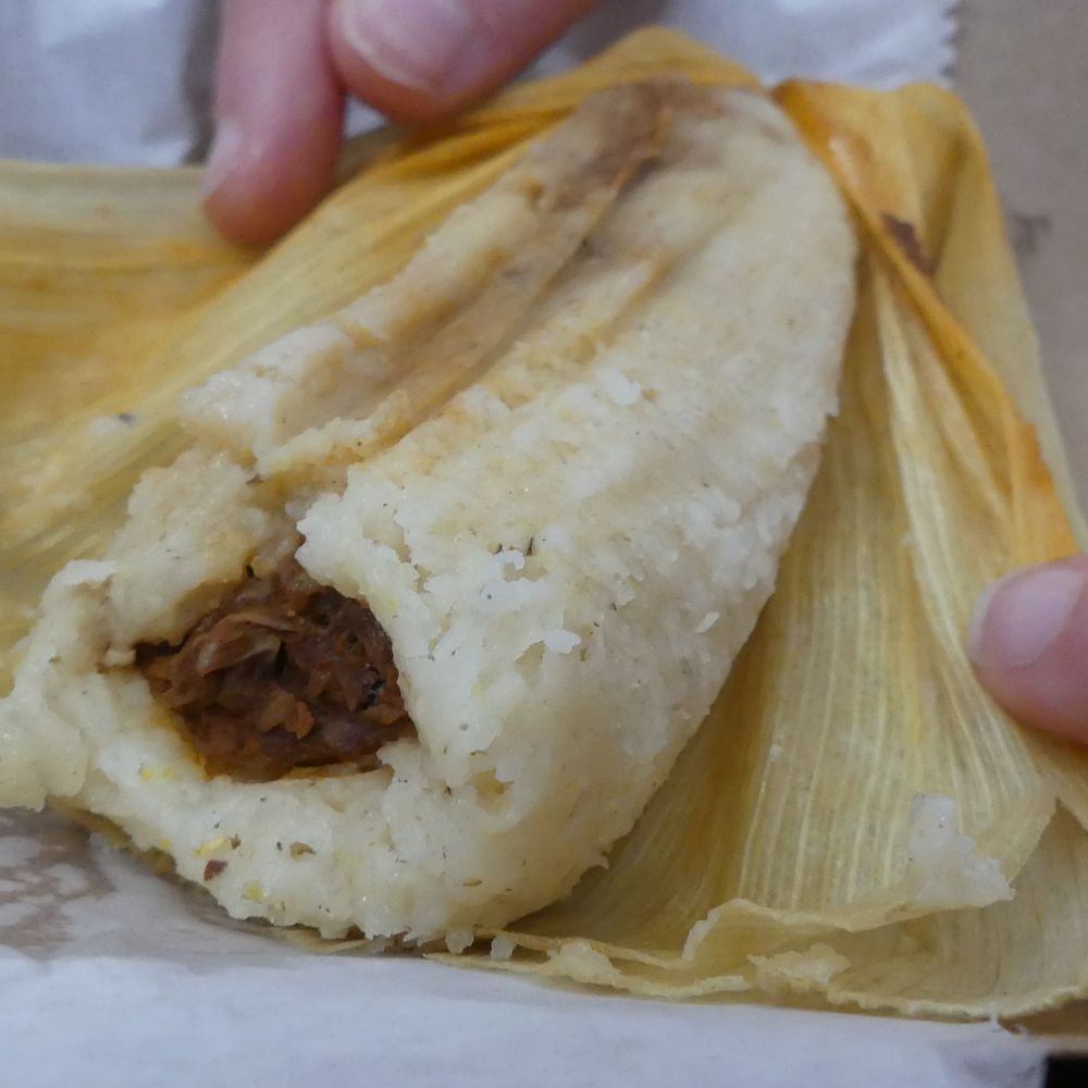 Succulent Vegan Tacos - jackfruit tamale - Tacos Near Me - Nashville, Tennessee