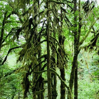 Wallace Falls State Park - Parks Near Me - Gold Bar, Washington Wallace Falls State Park - Parks Near Me - Gold Bar, Washington