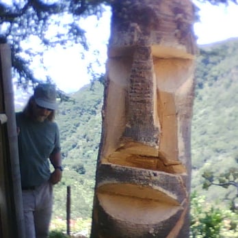Tree Surfers - easter island head - Tree Services Near Me - Santa Barbara, California Tree Surfers - easter island head - Tree Services Near Me - Santa Barbara, California