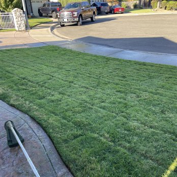 Hercules Lawn & Tree Service - Window Washing Near Me - Turlock, California Hercules Lawn & Tree Service - Window Washing Near Me - Turlock, California