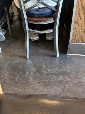 Xian Sushi and Noodle by null