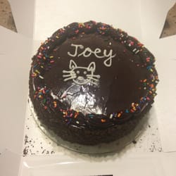 Joey. Kitty cat cake. Who knew they are so creative and can draw too