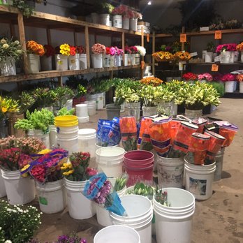 Carlos Floral - Florists Near Me - Encinitas, California