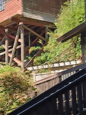 Babbling Brook Inn by null
