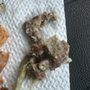 Photo of Trindy Gourmet