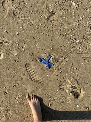 Keansburg Beach by null