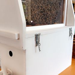 Wild Honey Box - Actually hive in the store to see the bees hard at work