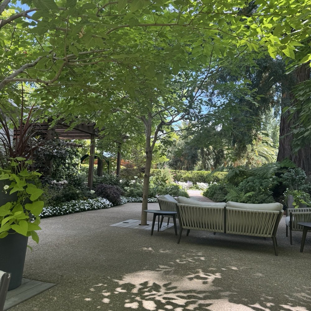 Caymus Vineyards - Wineries Near Me - Rutherford, California