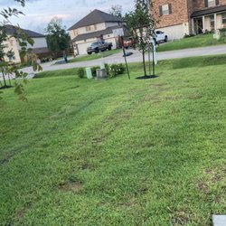 The French Drain Company