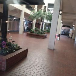 Fox Mall