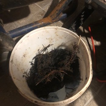 Mr Rooter Plumbing - roots pulled out only 20 feet into the line after Mr rooters failed job - Plumbing Near Me - Kalispell, Montana Mr Rooter Plumbing - roots pulled out only 20 feet into the line after Mr rooters failed job - Plumbing Near Me - Kalispell, Montana