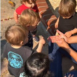 ABC Learn and Grow