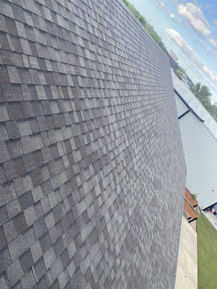 Slide of Auroras Roo