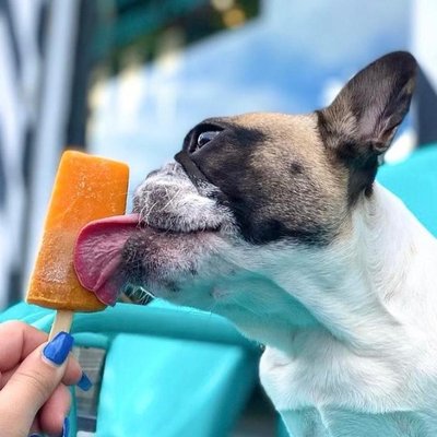 Cielito Artisan Pops by null
